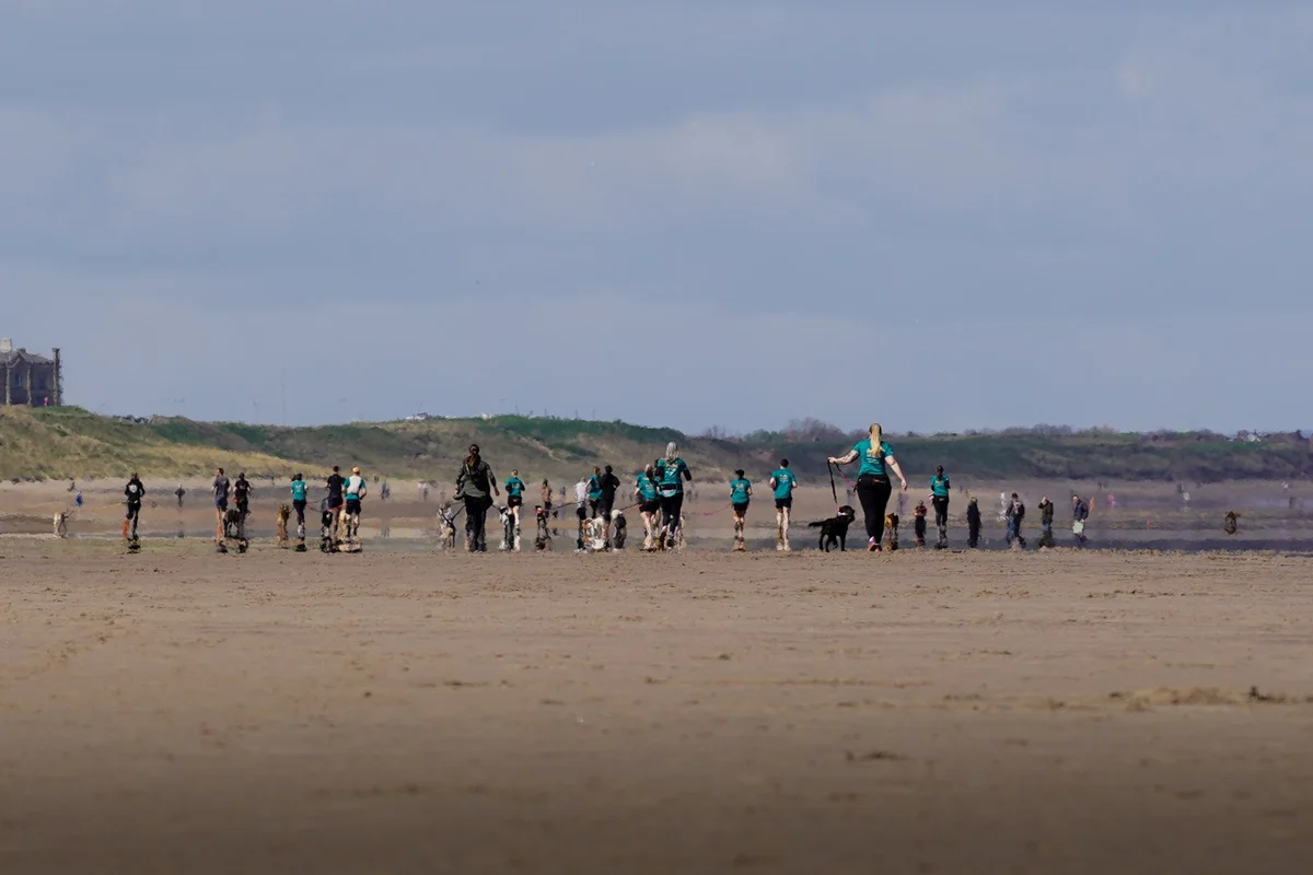 Dogs and runners heading along the beach together