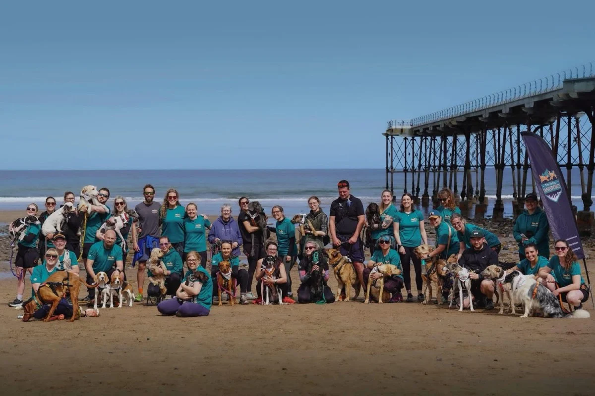Club members and their dogs together on the beach beside the pier
